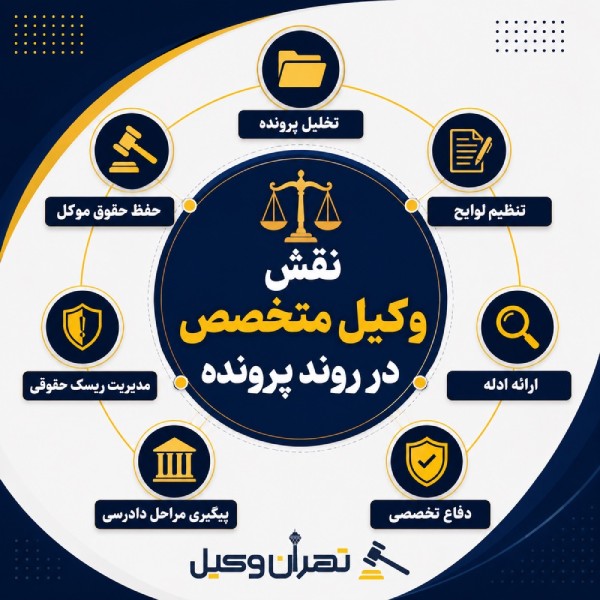 نقش وکیل متخصص در روند پرونده