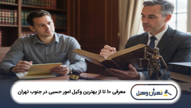 بهترین وکیل امور حسبی در جنوب تهران