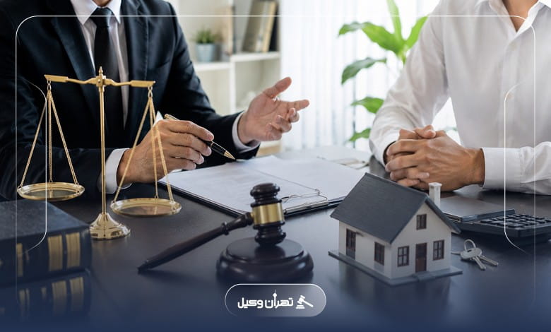 وکیل ملکی چه پروندههایی را پیگیری میکند؟